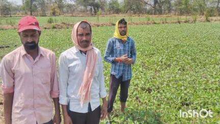 गुरूर: जिला प्रशासन के प्रयासों के बाद गुरुर ब्लॉक में बढ़ा दलहन और तिलहन का रकबा क्षेत्र