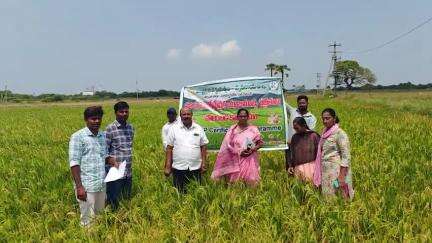 సూళ్లూరుపేట గ్రామాల్లో ఇండి - గ్యాప్ పొలం బడి కార్యక్రమం