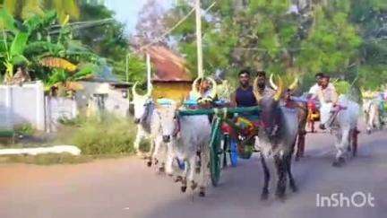 மேலூர்: மேலூர் மந்தை கருப்பண்ணசாமி கோவில் திருவிழா- விமர்சையாக நடைபெற்று வரும் இரட்டை மாட்டு வண்டி பந்தயம்