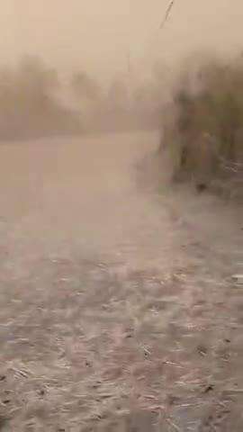 थाना मडियादो
बहुत तेज तूफान और इसमें कई जगह नुकसान भी हुआ