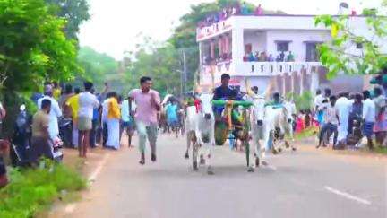 தேவகோட்டை: ஆறவயலில் கோயில் திருவிழாவை முன்னிட்டு இரட்டை மாட்டு வண்டி எல்லை பந்தயம்