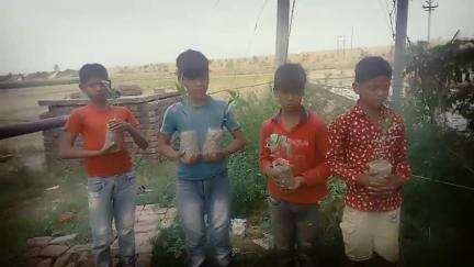 जिला बदायूं गांव कँजुआ में पौधों की चोरी #चोरी