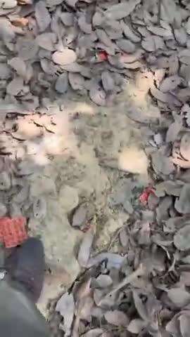 बाराबंकी में जीवन रक्षक दवाएं कूड़े में मिलीं, अस्पतालों में दवा संकट, व्यवस्था पर उठे सवाल