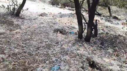तिल्दा: सासाहोली रेल्वे ओवर ब्रिज, अंडर ब्रिज में चलना दूभर, बदबू से आम राहगीर परेशान #jansamasya