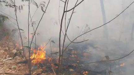 Delhi: शकरपुर थाना क्षेत्र अंतर्गत ITO जाने वाले रास्ते पर मौजूद जंगल में आग लग गई, दमकल विभाग की गाड़ियां मौके पर मौजूद