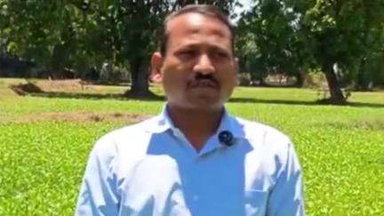 बनखेड़ी: गोविंद नगर के कृषि विज्ञान केंद्र के वैज्ञानिकों ने किसानों को मूंग की सिंचाई के बारे में सलाह दी