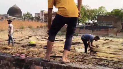 सिराथू: शहजादपुर में सरकंडा टिम्बर में लगी आग, लाखों का सामान जलकर हुआ राख
