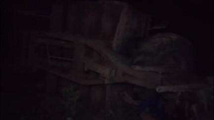 महावन: पानी गांव रोड पर सामने से आ रहे वाहन को बचाने के चक्कर में ईंटों से भरी ट्रैक्टर-ट्रॉली खेतों में पलटी, 2 लोग हुए घायल