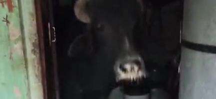 नारनौल: कारौली गांव में पंचायती झोपड़ी में आग लगाने के मामले में ग्रामीणों ने पंचायत की, दोषी पंचायत समिति सदस्य पर जुर्माना लगाया
