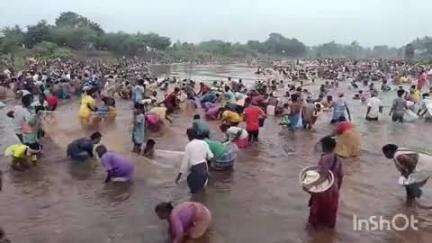 மேலூர்: மேலூரில் வெகு விமர்சையாக நடைபெற்ற மீன்பிடித் திருவிழா- ஆயிரத்திற்கும் மேற்பட்டோர் ஆர்வமுடன் பங்கேற்பு