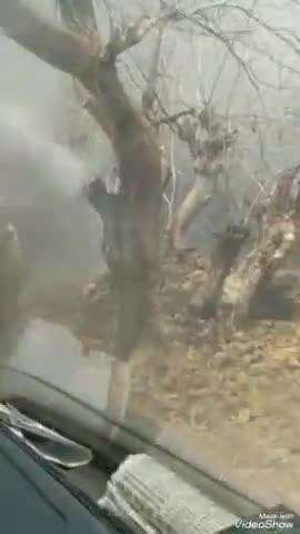 बेगमगंज: बेगमगंज सोडरपुर के पास जंगल में लगी आग दमकल की मदद से काबू में आई