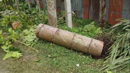 ময়নাগুড়ি: রবিবার রাতে  কালবৈশাখী ঝড়ে ক্ষতিগ্রস্ত ময়নাগুড়ি ব্লকের বিভিন্ন এলাকা, তৎপর প্রশাসন