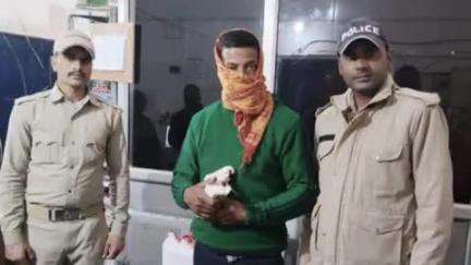 पाटी: पुलिस ने 50 पव्वे अवैध देसी शराब के साथ पाटी थाना क्षेत्र से एक व्यक्ति को किया गिरफ्तार