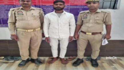 नवाबगंज: हाफिजगंज थाना पुलिस ने तमंचे के साथ एक आरोपी को गिरफ्तार कर जेल भेजा
