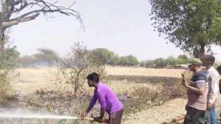 अंजड़: मंडवाड़ा के खेतों की मेढ़ पर लगी आग, पेड़ जलकर राख, अंजड और राजपुर से फायर ब्रिगेड ने पाया काबू