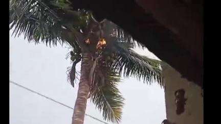 ತಾಳಿಕೋಟಿ: ಬಳಗಾನೂರ ಗ್ರಾಮದಲ್ಲಿ ಸಿಡಿಲು ಬಡಿದು ವ್ಯಕ್ತಿ ಹಾಗೂ ಎಮ್ಮೆ ಸಾವು ಸ್ಥಳಕ್ಕೆ ಕಂದಾಯ ಇಲಾಖೆ ಅಧಿಕಾರಿಗಳು ಭೇಟಿ ಪರಿಶೀಲನೆ