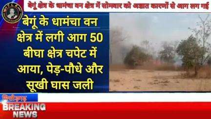 बेगूं के धामंचा वन क्षेत्र में लगी आग 50 बीघा क्षेत्र चपेट में आया, पेड़-पौधे और सूखी घास जली
#बेगूं #चित्तोड़गढ़ #news