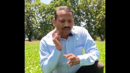 बनखेड़ी: मूंग में जैविक कीट नियंत्रण: गोविंद नगर के वैज्ञानिकों ने किसानों को दी सलाह