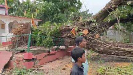ময়নাগুড়ি: ময়নাগুড়ির বিভিন্ন এলাকায় ঝড়ে গাছ পড়ে  ভেঙে গেছে প্রচুর বাড়ি, এদিনের ঝড়ে ক্ষয়ক্ষতির পরিমাণ কয়েক লক্ষাধিক টাকা