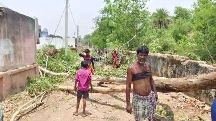 मध्य विद्यालय गांडेय के पास पेड़ की शाखा बिजली के तार पर गिरने से ग्वार टोली के 20 घरों में बिजली गुल