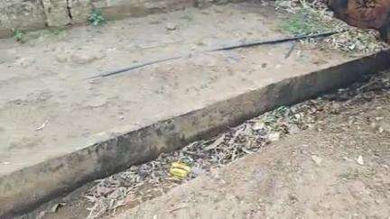 पखांजूर: वार्ड क्र.13 में नाली सफाई नही होने और नाली में विभाग द्वरा पेड़ को काटकर फेक देने से हो रही परेसानी#jansamasya