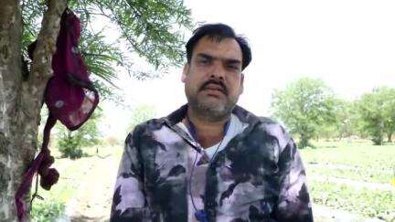 कोलारस: लुकवासा में उद्यानिकी फसलों से किसानों की आमदनी बढ़ी, परंपरागत खेती से किया किनारा