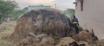 கடையநல்லூர்: மர்மமான முறையில் தீப்பற்றி எரிந்த வைக்கோல் படப்பு காவல்துறை விசாரணை