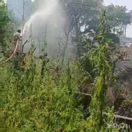 बड़सर: मैहरे के जंगल में लगी आग से वन संपदा को पहुंचा नुकसान, अग्निशमन विभाग के कर्मचारियों ने आग पर पाया काबू