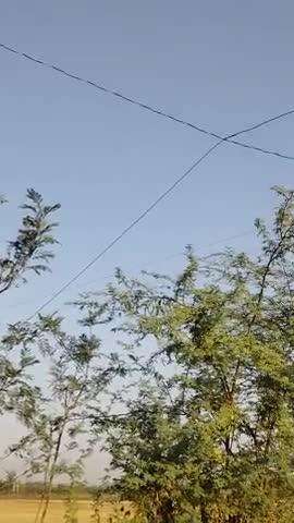 बरवास में  आज सुबह 6 बजे 11 हजार लाइन टूट कर गिर गई है, अच्छा हुआ जन हानि नहीं हुई,लेकिन घर के कूलर फ्रिज आदि सामन जल गए