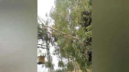 দিনহাটা ২: কাল বৈশাখী ঝড়ের তান্ডব, বিদ্যুৎ বিচ্ছিন্ন গোবরাছড়া নয়ারহাট এলাকা, খুব দ্রুত সংযোগ করা হচ্ছে জানান ডিভিশনাল ম্যানেজার