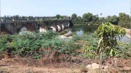તળાજા: રોયલ ગામે વાડીમાં લાખો રૂપિયાની 3 ભેંસોની ચોરી થઈ