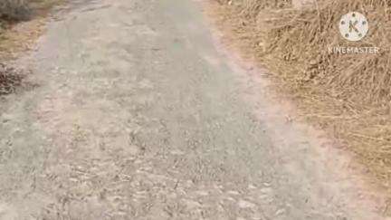 भानपुर: रूधौली भानपुर संपर्क मार्ग बरडाड नानकर सड़क गड्ढे में हुई तब्दील, लोगों ने IGRS के माध्यम से की शिकायत #jansamasya
