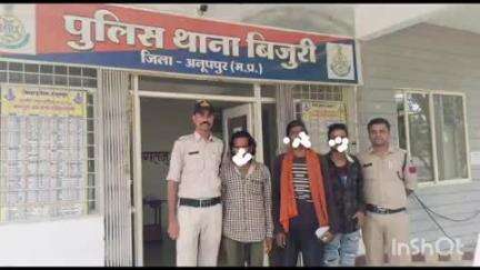 कोतमा: बिजुरी पुलिस ने 3 फरार वारंटी को किया गिरफ्तार