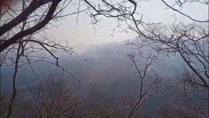 बंगाणा: रामगढ़ धार के जंगल में धू-धू कर जल रही आग, काबू पाने की कोशिश में जुटे वन कर्मी