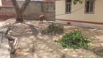 सासनी: उत्तर प्रदेश के मुख्यमंत्री के आगमन को लेकर सामुदायिक स्वास्थ्य केंद्र सासनी पर की गई साफ-सफाई, अधिकारी ने की तैयारी