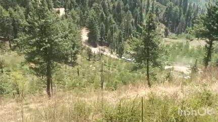 चिड़गांव: HRTC डिपो चडगांव द्वारा डोडरा क्वार बस सेवाएं शुरू, क्षेत्र के लोगों को आवाजाही में मिलेगा लाभ