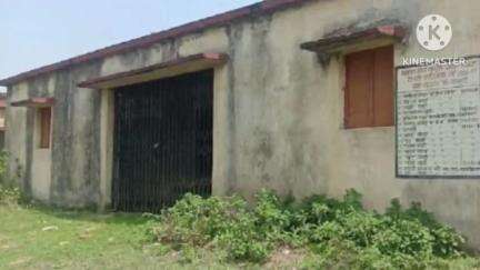 आदित्यपुर गम्हरिया: नारायणपुर और यशपुर लैम्पस में 236 किसानों से 9048 क्विंटल धान की खरीद