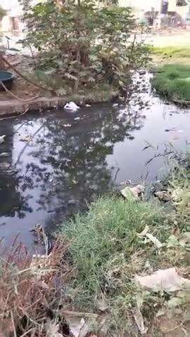 ग्राम करनपुरी में जल  निकास और साफ सफाई की समस्या  

ग्राम प्रधान:मोतीलाल उपाध्याय 
ग्राम करनपुरी तहसील बाह जिला आगरा