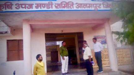 लहार: लहार अनुभाग के आलमपुर कृषि उपज मंडी में ज़ोन डायरेक्टर ने किया औचक निरीक्षण, एस.के. कुम ने भी किया निरीक्षण