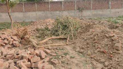 मथुरा: गणेशरा स्टेडियम के पास दबंगों ने 10 साल पुरानी बाउंड्री को JCB से तोड़कर हरे पेड़ उखाड़कर कब्जा करने की कोशिश की