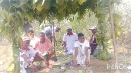 नीमडीह: गांव की सुख-समृद्धि और अच्छी फसल के लिए पितकी गांव में हुआ सरहुल पूजा