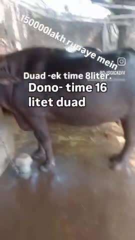 dedh lakh rupaye ki hai