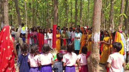 टाटीझरिया: बौधा के ढौंठवा वन में पेड़ों को लाल डोर बांधकर रक्षा का संकल्प लिया गया, वन महोत्सव की 28वीं वर्षगांठ मनाई गई