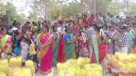 மேலூர்: வெள்ளலூரில் கோவில் திருவிழாவில் மழை வேண்டி 500க்கும் மேற்பட்ட பெண்கள் முளைப்பாரி எடுத்து ஊர்வலம்