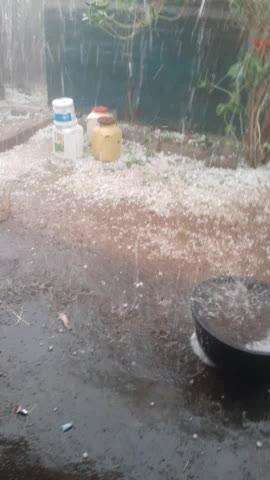 jila dindaori ke pindrokhi gao thank bajak gram panchayat sarvahi  me aola gira ha@@@##i
