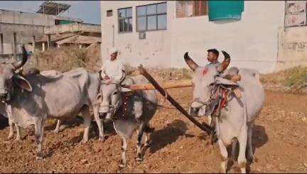 પ્રાંતિજ: પ્રાંતિજ સહિત તાલુકા માં ખેડૂતો દ્વારા અખાત્રીજ મુહૂર્ત કરી ખેતી ના શ્રી ગણેશ કર્યા