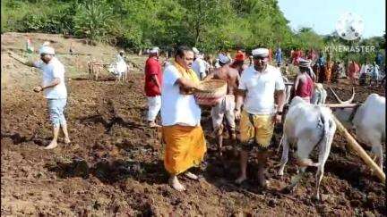 ଫୁଲବାଣୀ ସହର: ପାଣ୍ଡାରାବାଡି ଠାରେ କଂଗ୍ରେସ ପକ୍ଷରୁ ମୁଠି ଅନୁକୁଳ ର ଶୁଭାରମ୍ଭ ହୋଇଯାଇଛି