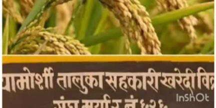 चामोर्शी: चामोर्शी खरेदी-विक्री संघाचे अडचणीत वाढ धान बोनस घोटाळा प्रकरणे गुन्हा दाखल करण्याचे जिल्हाधिकाऱ्यांचे निर्देश