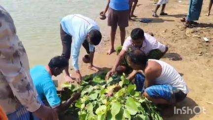 केशकाल: अक्षय तृतीया के अवसर पर ग्राम पीपरा में कोसरिया मरार समाज ने आमा जोगानी एवं बीज निकालनी का त्यौहार मनाया