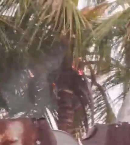 ఉరవకొండ: ఛాయాపురం గ్రామంలో కొబ్బరి చెట్టుపై పడ్డ పిడుగు: భయంతో పరుగులు తీసిన జనాలు